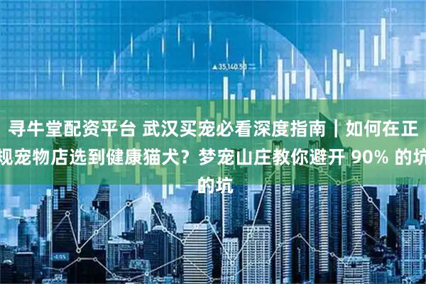 寻牛堂配资平台 武汉买宠必看深度指南｜如何在正规宠物店选到健康猫犬？梦宠山庄教你避开 90% 的坑
